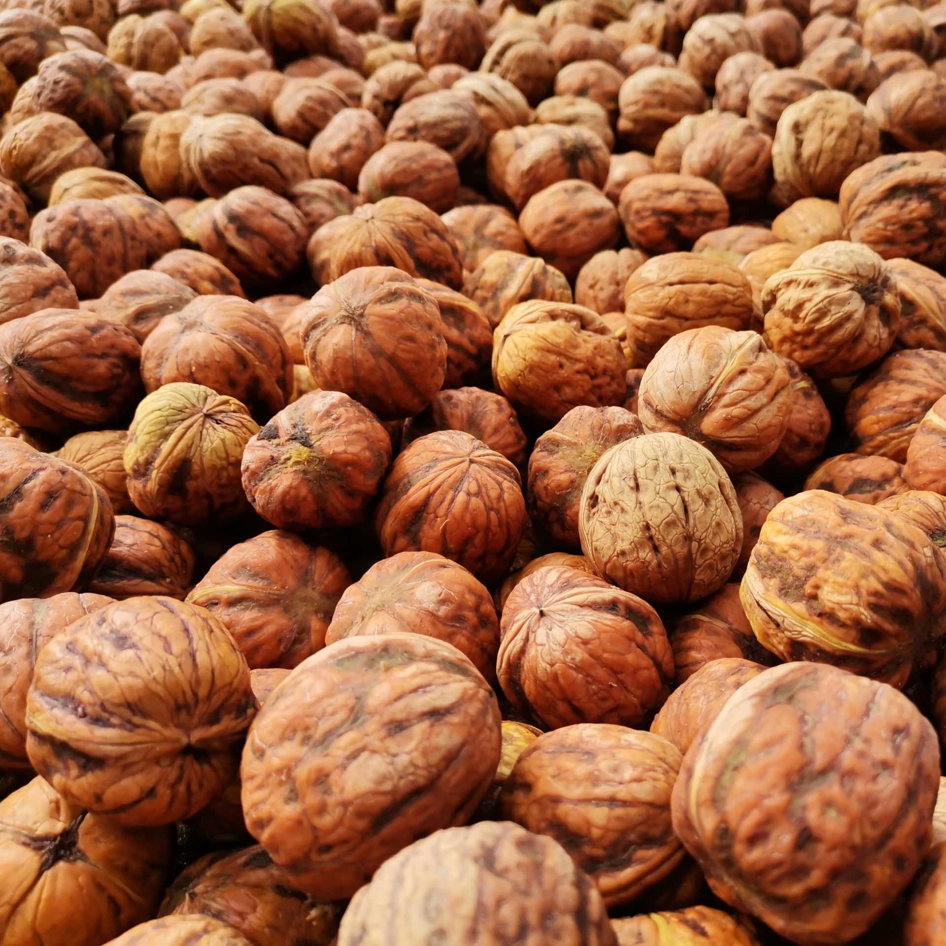 Le Tiroir du Périgord - Noix AOP Périgord - Direct producteur